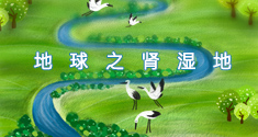 地球之肾：湿地